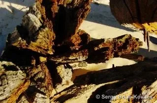 Photo épave 13 — Photographie de Serge Boué-Kovacs