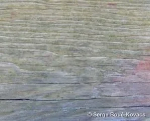 Photo épave 21 — Photographie de Serge Boué-Kovacs