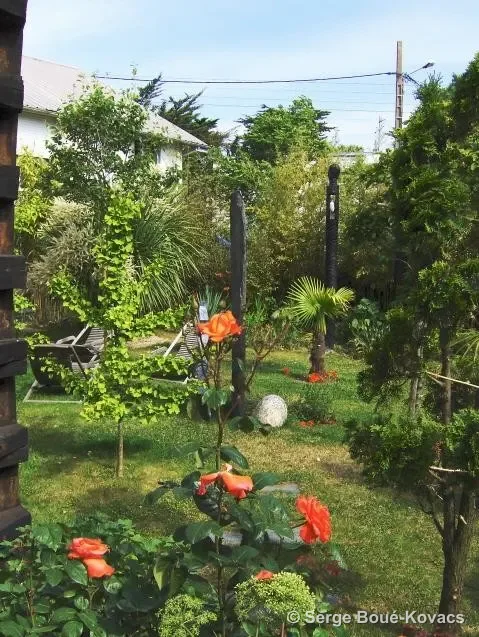 Totems noirs, 2009 — Peinture de Serge Boué-Kovacs