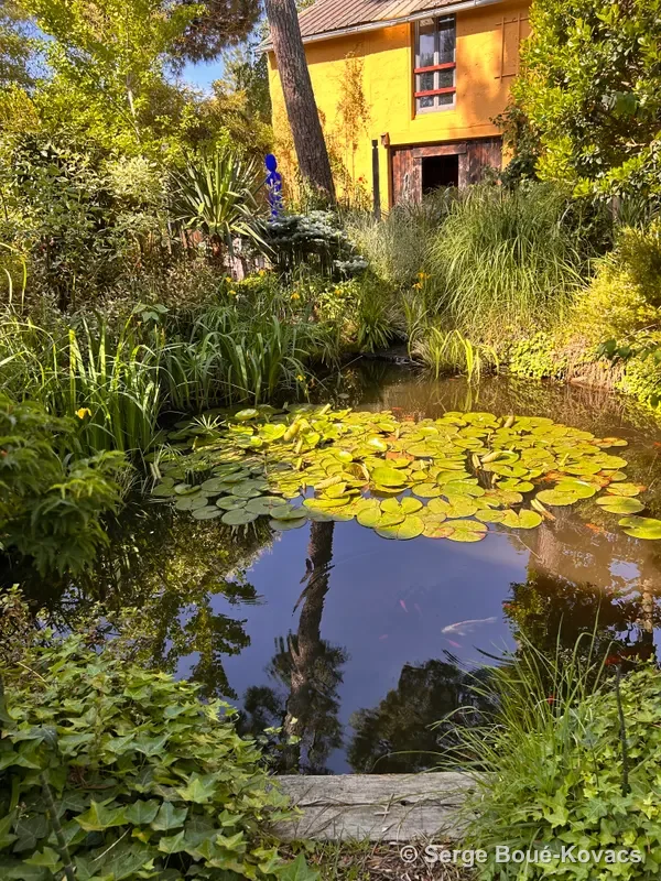 Le bassin aux nénuphars — Sculpture de Serge Boué-Kovacs
