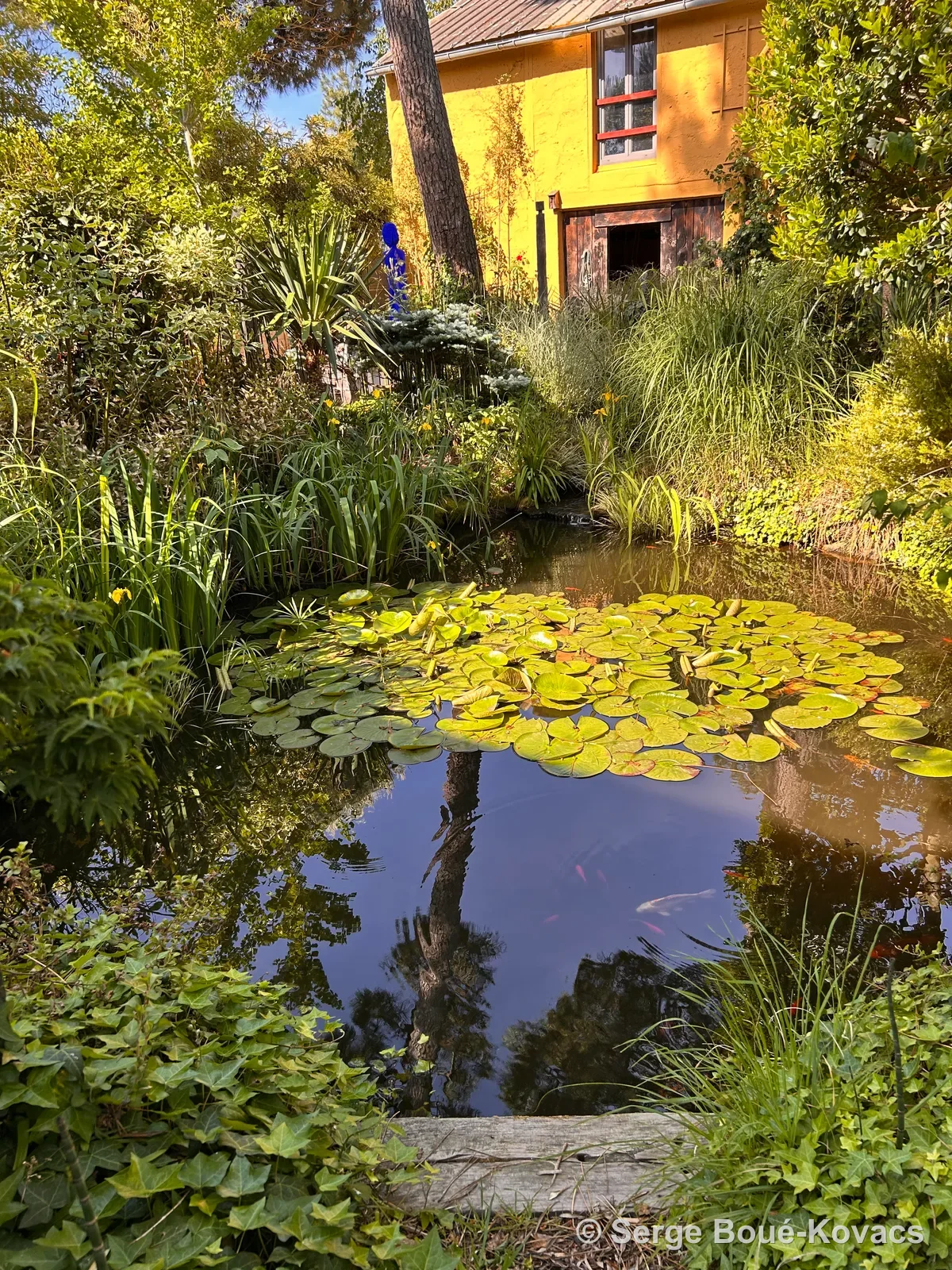 Le bassin aux nénuphars — Sculpture de Serge Boué-Kovacs
