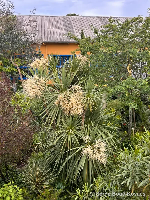 Le jardin en fleurs — Sculpture de Serge Boué-Kovacs