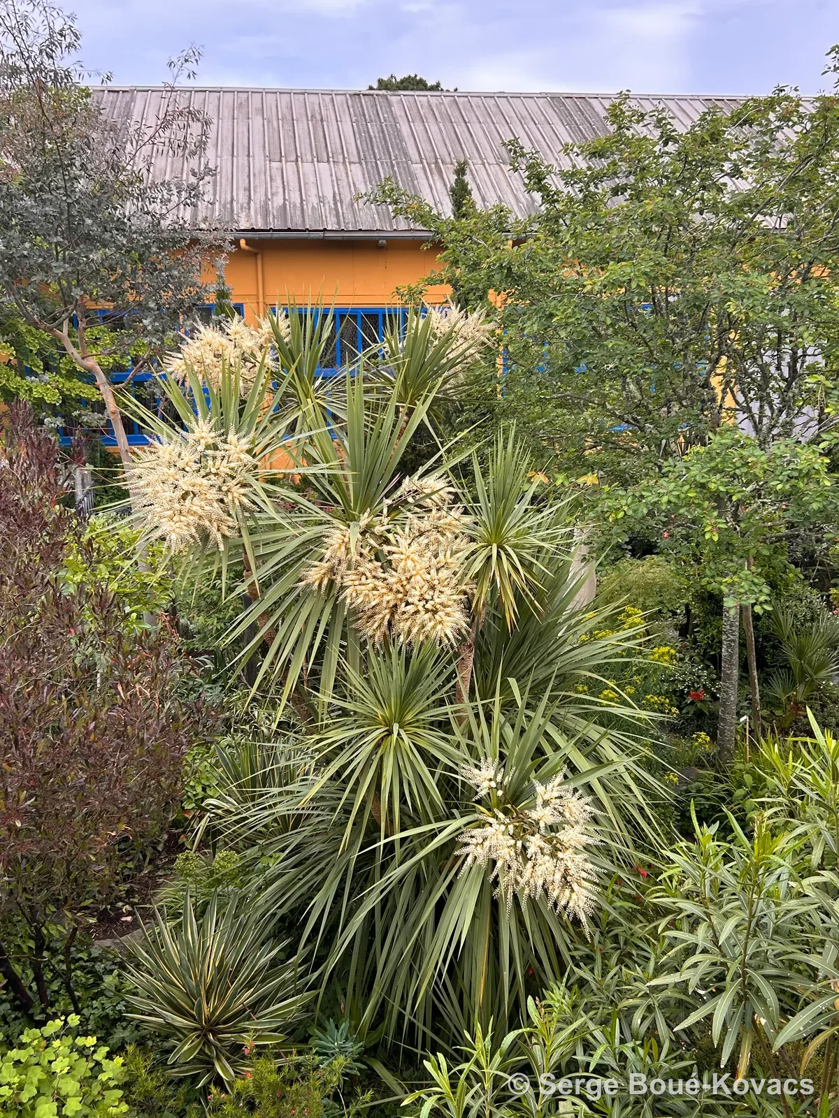 Le jardin en fleurs — Sculpture de Serge Boué-Kovacs