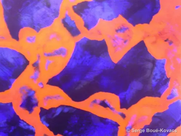 Réseau orange sur violet, 2013 — Peinture de Serge Boué-Kovacs