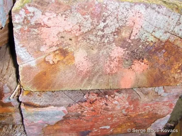 Traces, 2008 — Photographie de Serge Boué-Kovacs