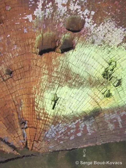 Traces, 2008 — Photographie de Serge Boué-Kovacs