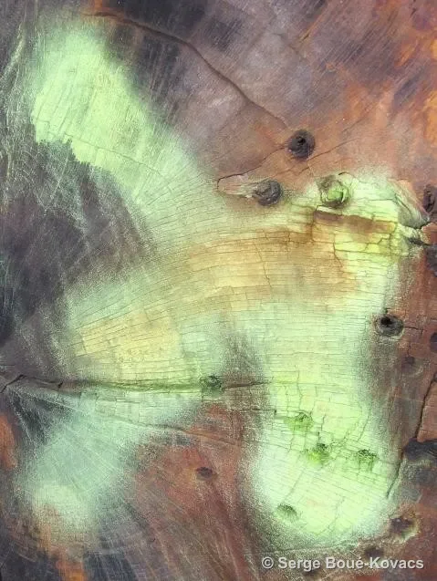 Traces, 2008 — Photographie de Serge Boué-Kovacs