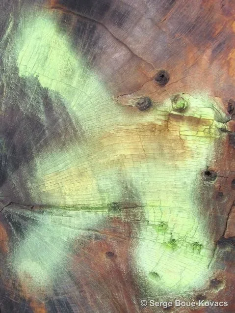 Traces — Photographie de Serge Boué-Kovacs